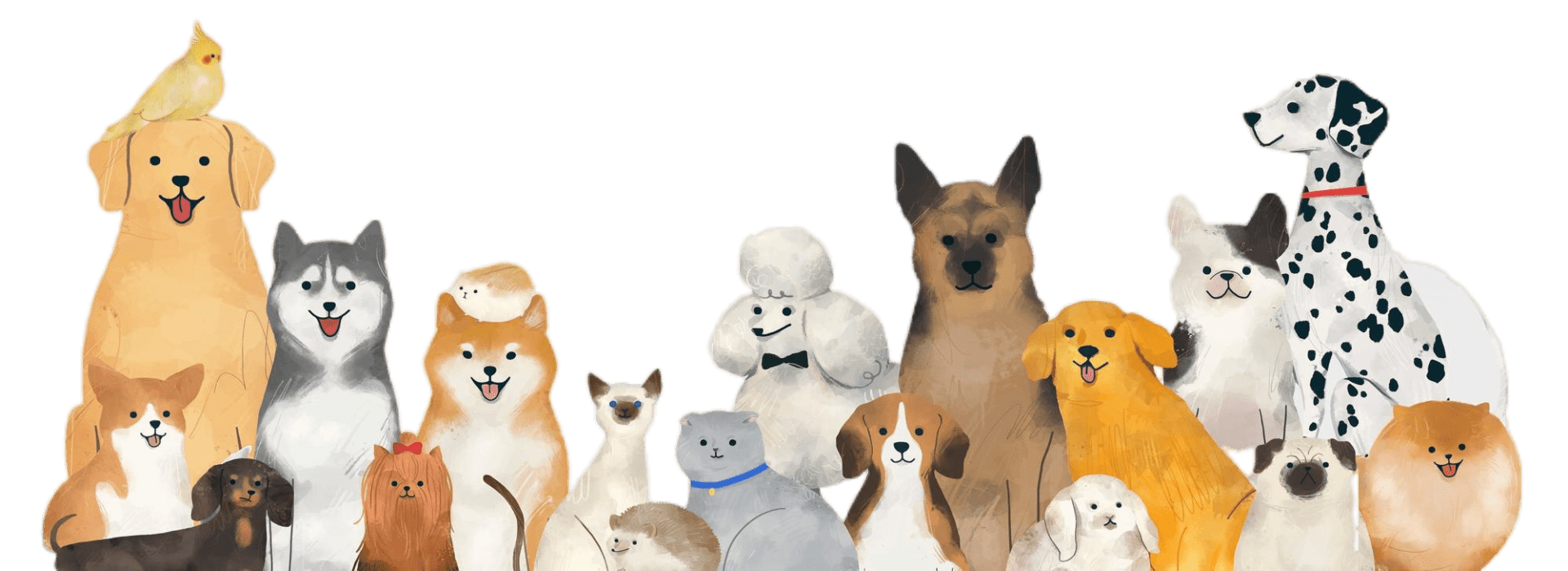 Okiem Zwierząt GRAFIKA